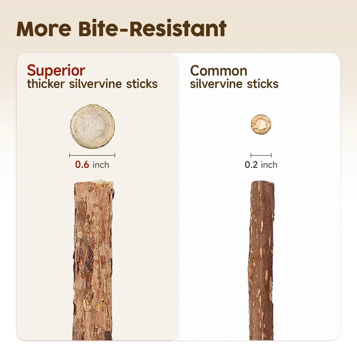 (𝙎𝙥𝙚𝙘𝙞𝙖𝙡 𝙋𝙧𝙤𝙢𝙤𝙩𝙞𝙤𝙣💖)MomoNook Natural Silvervine Stick Cat Chew Toys, Teeth Cleaning & Dental Care for Kittens & Cats #backtoschool