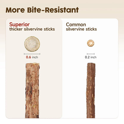 (𝙎𝙥𝙚𝙘𝙞𝙖𝙡 𝙋𝙧𝙤𝙢𝙤𝙩𝙞𝙤𝙣💖)MomoNook Natural Silvervine Stick Cat Chew Toys, Teeth Cleaning & Dental Care for Kittens & Cats #backtoschool