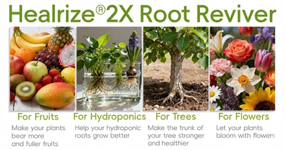 Healrize® 2X Root Reviver