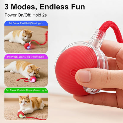 MomoNook Smart Interactive Automatic Electric Rolling Moving Rechargeable Motion Activated Self Play Electronic Stimulation Chase Teaser Ball Toy with Rope for Indoor Bored Adult Cat and Dog