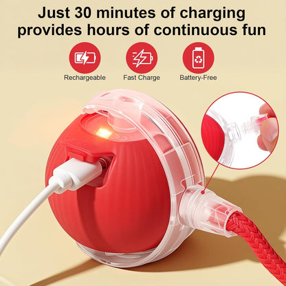 MomoNook Smart Interactive Automatic Electric Rolling Moving Rechargeable Motion Activated Self Play Electronic Stimulation Chase Teaser Ball Toy with Rope for Indoor Bored Adult Cat and Dog