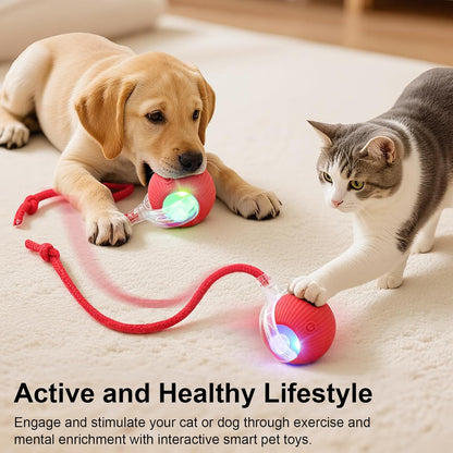 MomoNook Smart Interactive Automatic Electric Rolling Moving Rechargeable Motion Activated Self Play Electronic Stimulation Chase Teaser Ball Toy with Rope for Indoor Bored Adult Cat and Dog