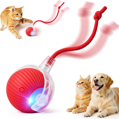 MomoNook Smart Interactive Automatic Electric Rolling Moving Rechargeable Motion Activated Self Play Electronic Stimulation Chase Teaser Ball Toy with Rope for Indoor Bored Adult Cat and Dog