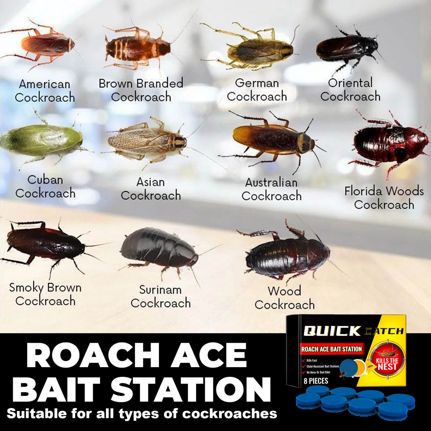 🔥𝙎𝙥𝙚𝙘𝙞𝙖𝙡 𝙋𝙧𝙤𝙢𝙤𝙩𝙞𝙤𝙣 | Healrize® Roach Ace Bait Station – Indoor Roach Killer for Kitchen & Home