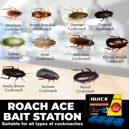 🔥𝙎𝙥𝙚𝙘𝙞𝙖𝙡 𝙋𝙧𝙤𝙢𝙤𝙩𝙞𝙤𝙣 | Healrize® Roach Ace Bait Station – Indoor Roach Killer for Kitchen & Home