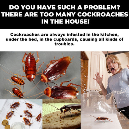 🔥𝙎𝙥𝙚𝙘𝙞𝙖𝙡 𝙋𝙧𝙤𝙢𝙤𝙩𝙞𝙤𝙣 | Healrize® Roach Ace Bait Station – Indoor Roach Killer for Kitchen & Home