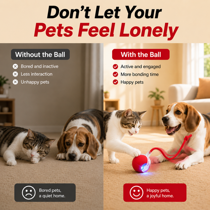MomoNook Smart Interactive Automatic Electric Rolling Moving Rechargeable Motion Activated Self Play Electronic Stimulation Chase Teaser Ball Toy with Rope for Indoor Bored Adult Cat and Dog